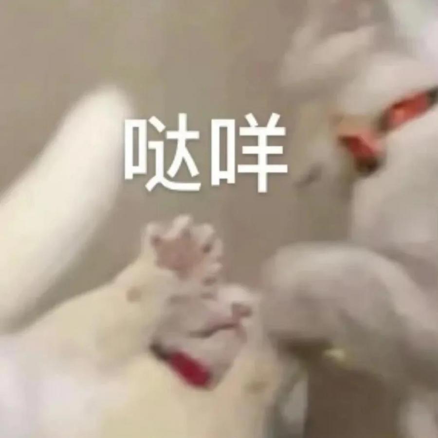 微信圖片_20220111171533.jpg